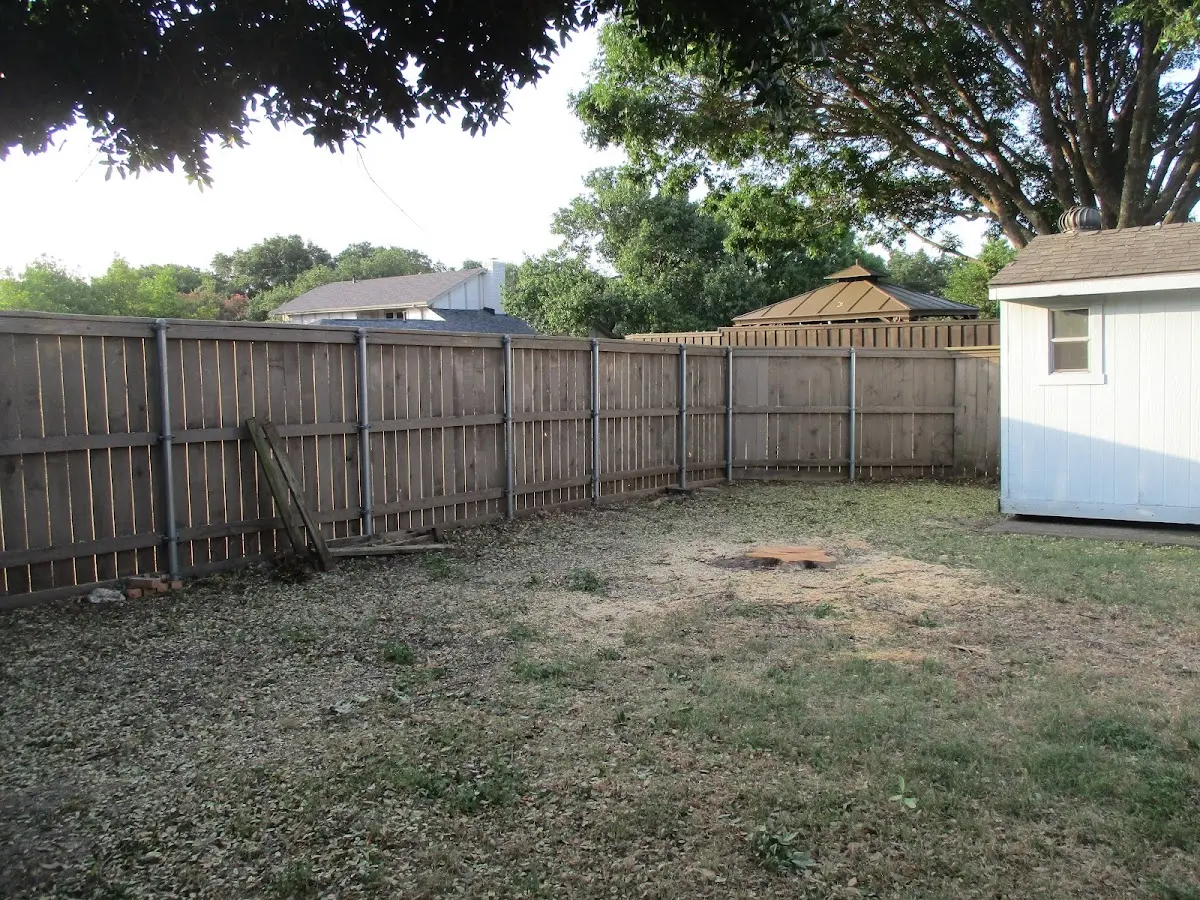 Cleared yard after professional tree removal in Lakeland